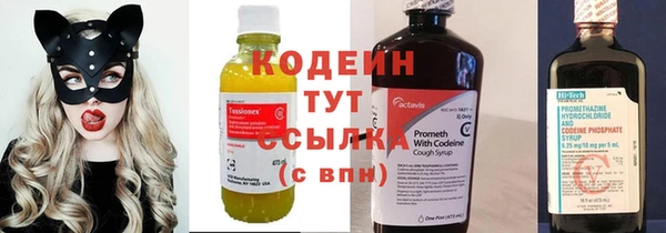 шишки Беломорск