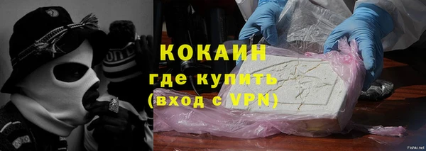 шишки Беломорск
