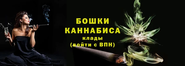 стафф Бородино