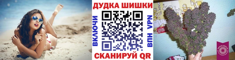 где купить наркоту  Дагестанские Огни  Канабис Bruce Banner 